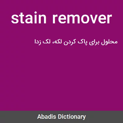 معنی stain remover